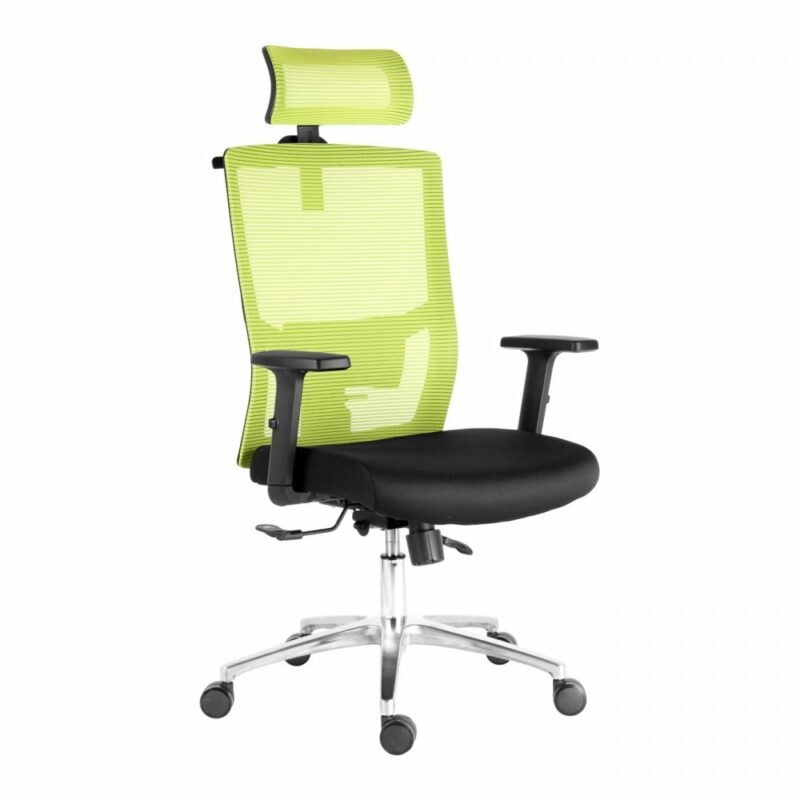 Kancelářská ergonomická židle SCALA — černá / zelená