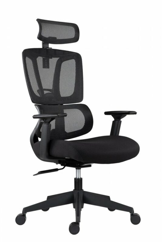 Kancelářská ergonomická židle FAMORA — černá